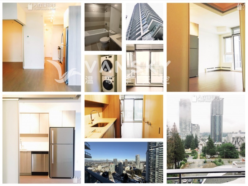 250220090238_evolve collage02 - interior.jpeg